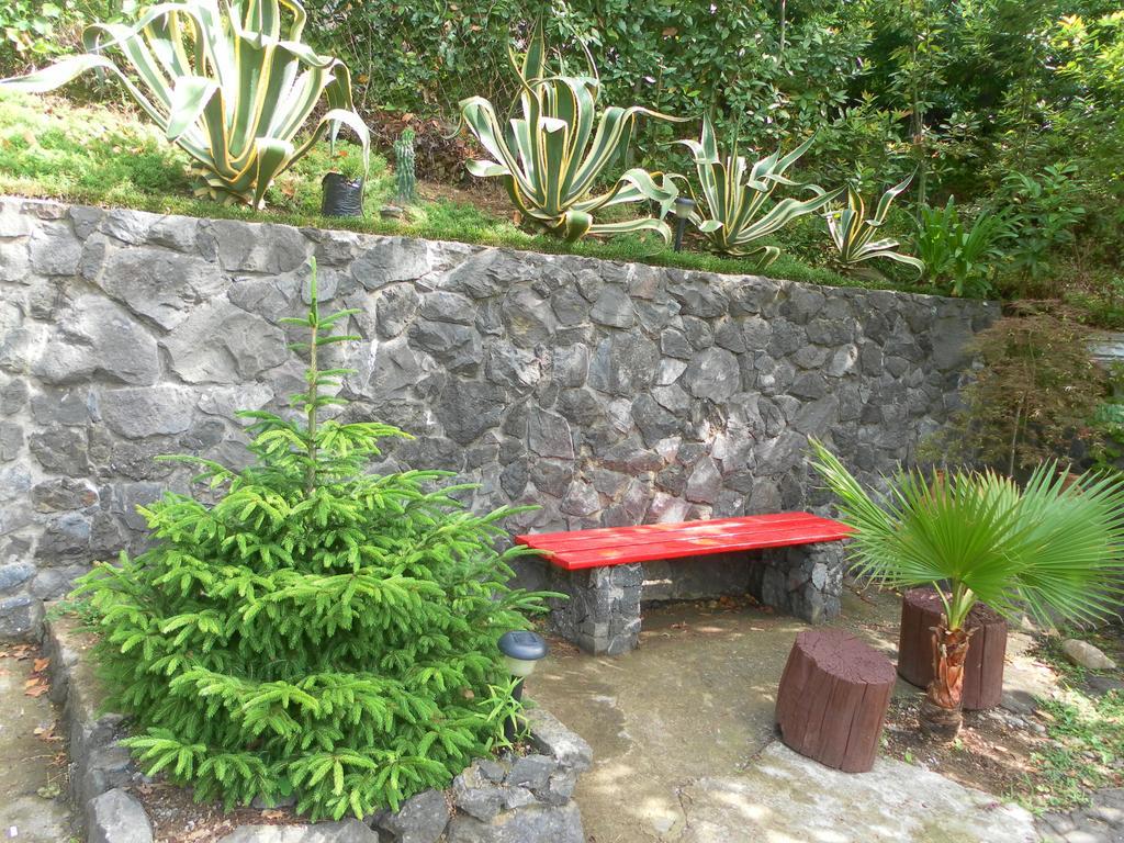 Holiday House Green Cape Batumi Hotel Mtsvane Konts'khi Exterior photo