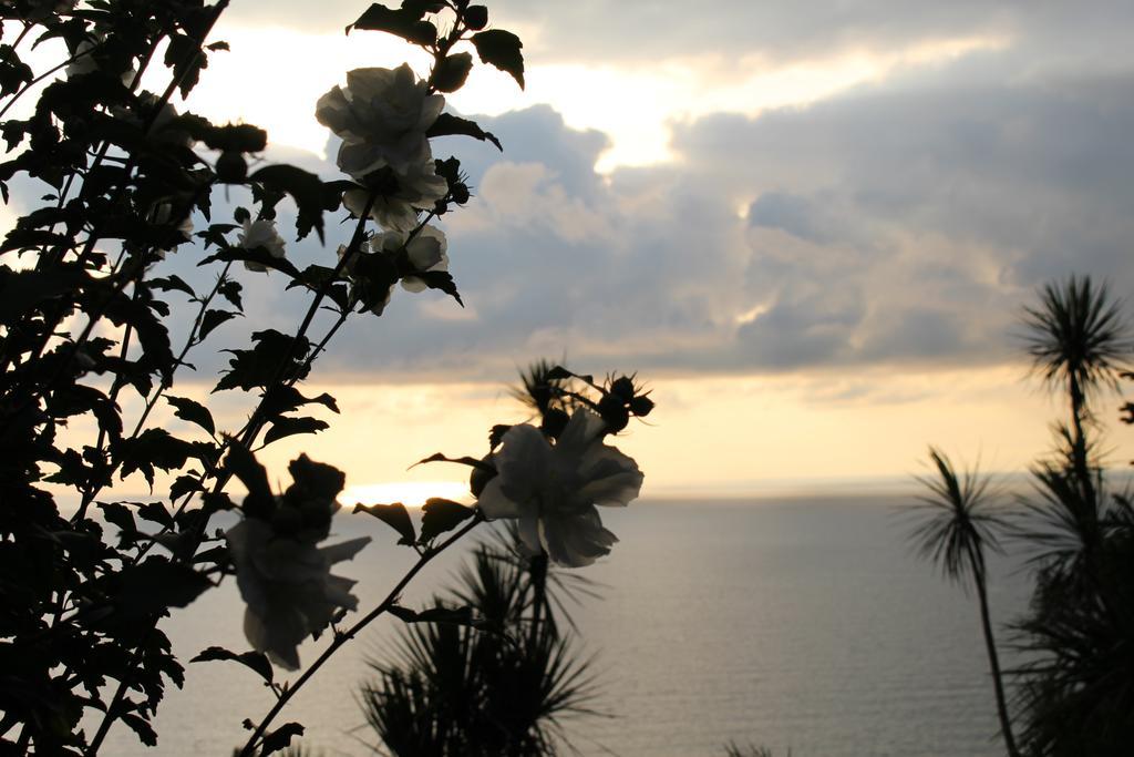 Holiday House Green Cape Batumi Hotel Mtsvane Konts'khi Exterior photo