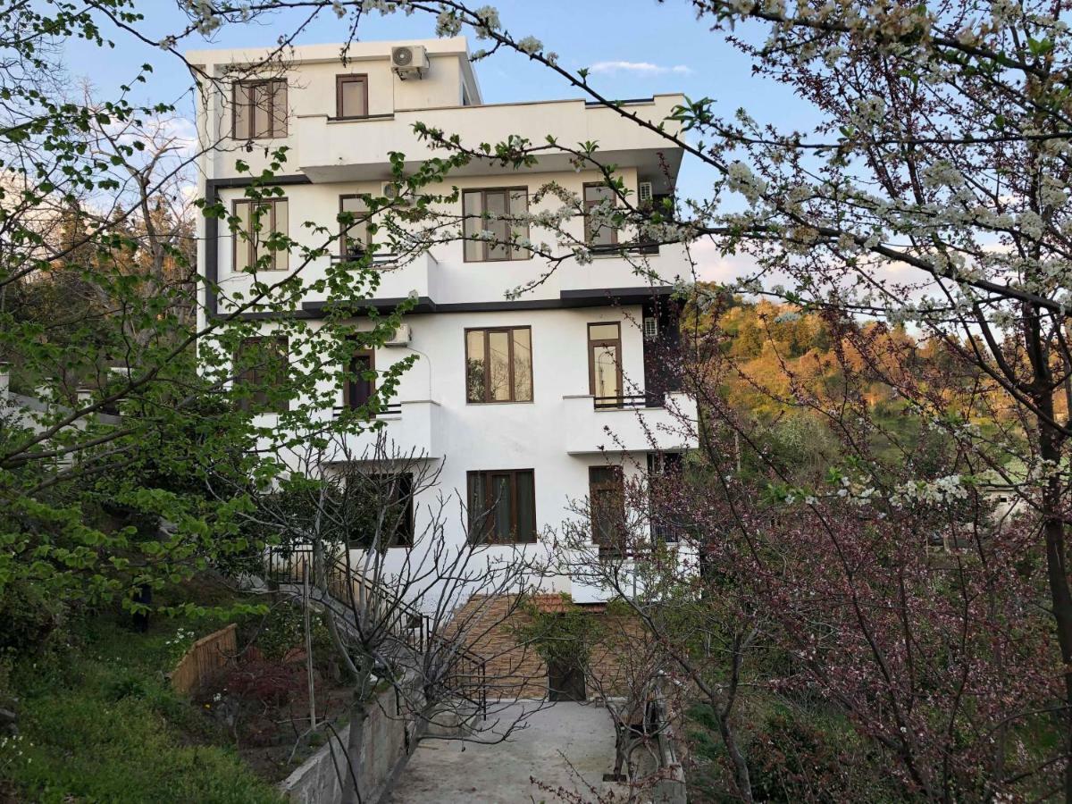 Holiday House Green Cape Batumi Hotel Mtsvane Konts'khi Exterior photo
