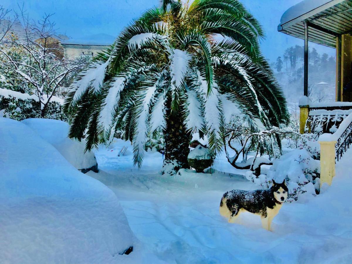 Holiday House Green Cape Batumi Hotel Mtsvane Konts'khi Exterior photo